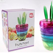 Dụng cụ cắt trái cây Cut Fruits Plant