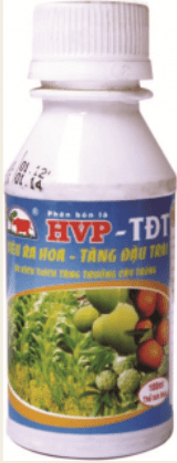 Siêu ra hoa - Tăng đậu trái HVP-TĐT