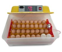 Máy ấp trứng nhập khẩu LIN KN-32