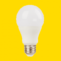 Đèn Led bóng tròn thân nhựa FocusLed HE LED BULB-6W