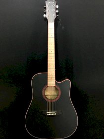 Đàn Acoustic Ntab