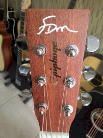 Đàn guitar acoustic DM PR-350 by Epiphone