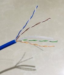 Cáp mạng Cat 6 Amplx A BB Gỗ