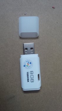 USB memory USB Pendriver 8GB