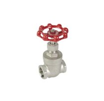 Van cửa inox lắp ren Dow Valve MV-29