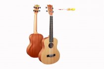 Đàn Ukulele Chard U-26Y