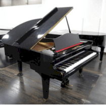 Đàn Piano DIAPASON NO 170