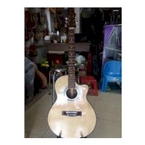 Đàn Guitar Acoustic DT145