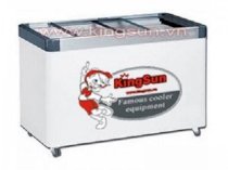 Tủ đông (2 Cánh Cửa Kéo 280 Lít) Kingsun KS-WD300