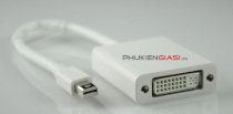 Apple Mini DisplayPort to DVI Adapter