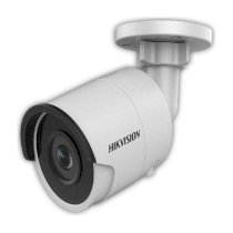 Camera giám sát Hikvision DS-2CD2055FWD-I
