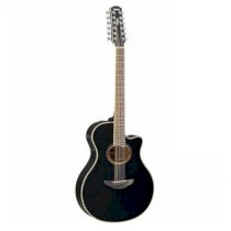 Đàn Guitar Acoustic LS16 Dark Tinted Are