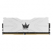 Galax Hall Of Fame 2x8GB bus 3200Mhz DDR4 cas 14