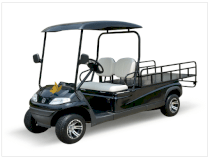 Xe Golf Điện Chở Hàng LVTONG LT-A627.2.H8