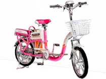 Xe đạp điện Draca E10
