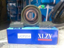 Gối đỡ bạc đạn XLZY UCP204