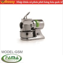 Máy nghiền hạt FAMA GSM