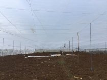 Lưới mùng trắng làm nhà lưới trồng cây ăn trái HNQ01