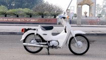 Xe máy Honda Daelim Cub 81