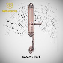 Khóa vân tay cổ điển KAADAS 6001