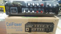 Amply Karaoke mini AC DC 12V CALIFLOWER 888S