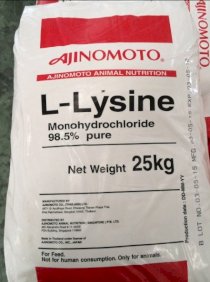L- Lysine 98,5% dạng nguyên liệu