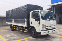 Xe tải Isuzu  5T5 NQR75M THÙNG DÀI 6m1