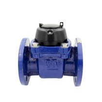 Đồng hồ đo nước Đệ Nhất DN80 - PN16