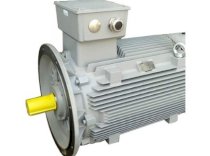 Motor điện SIEMENS 0.5kw-1000kw