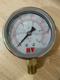 Đồng hồ áp suất HV TCVN-8PT