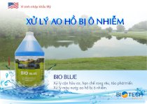 Vi sinh xử lý ao hồ ô nhiễm BIO - BLUE