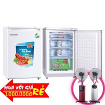 Tủ đông đứng Hòa PhátT 100 lít HCF-116S nhôm (R600A)