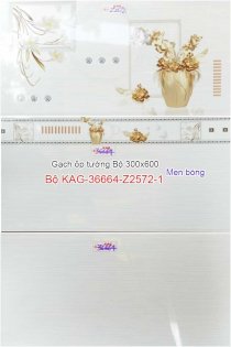 Bộ gạch ốp tường khách sạn Kiến An Gia KAG-36664-Z2572-1 300x600mm