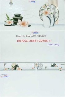 Bộ gạch ốp tường phòng khách Kiến An Gia KAG-36651-Z2566-1 300x600mm