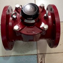 Đồng hồ đo lưu lượng nước nóng Sensus 50A