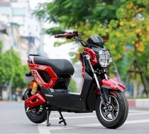 Anbico Zoomer Ap1508 (màu đỏ + đen)