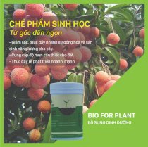 Bio For Plant - Bổ sung dinh dưỡng cho cây trồng - hủ 227 gram