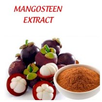 Chiết xuất măng cụt Mangosteen Extract - 25kg/thùng