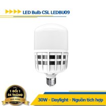 Đèn LED bulb công suất lớn Điện Quang ĐQ LEDBU09 30765 (30W daylight)