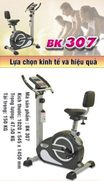 Xe đạp tập thể dục BK 307
