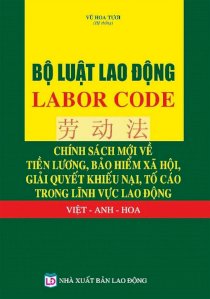 Bộ luật lao động 2019 Việt – Anh - Hoa