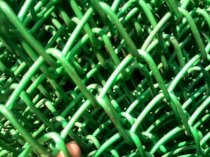 Lưới rào B40 bọc nhựa Thoại Phong TP06