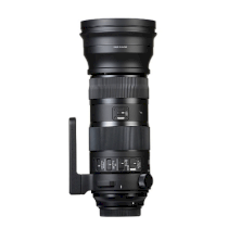 Sigma 150-600mm F5-6.3 DG OS HSM Sport for Canon
