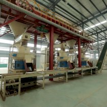 Dây chuyền sản xuất viên nén BSR-YULONG-WPPL03 công suất 4.5-5 tấn/giờ