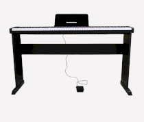 Đàn Piano điện Maxwell 100