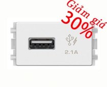 Ổ cắm sạc USB 2.1A đơn size  S - Schneider - 8431USB_WE