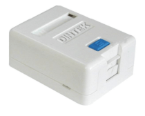 Ổ mạng nổi 1 port Dintek - Surface mount box (1301-02012)