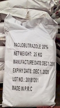 Hóa Chất Paclobutrazol C15H20ClN3O 20%, 95%, 15%