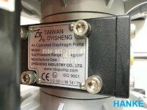 Bơm màng khí nén TDS DS04-AAT-TASS-02 (1/2″, Nhôm, Teflon)