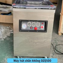 Máy hút chân không công nghiệp DZQ500